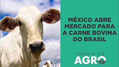 Brasil recebe aval para exportar carne bovina para o México | HORA H DO AGRO