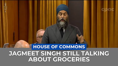 Jagmeet Singh Continues on the Topic of High Grocery Prices Forever.