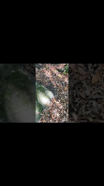 James Corden in my opinion is the most unfunny comedian going.