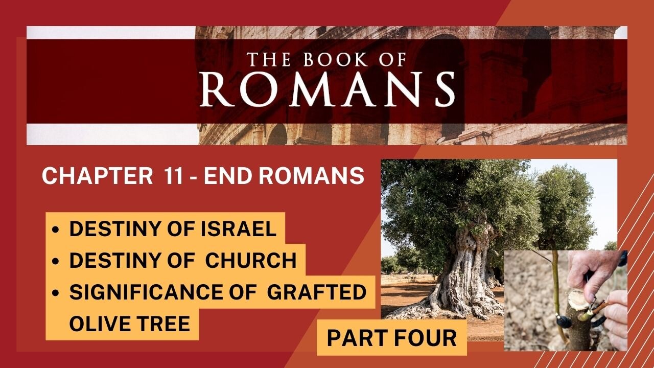 ROMANS PART 4: GRAFTED INTO OLIVE TREE