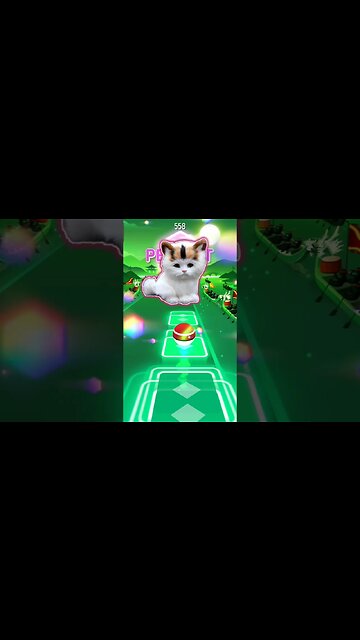 Vida de rico cat version part 2 #music #tileshop #shorts #vidaderico #cat #animalsong