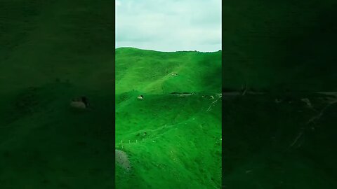 Are we alone?