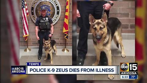 Police K-9 Zeus dies from illness