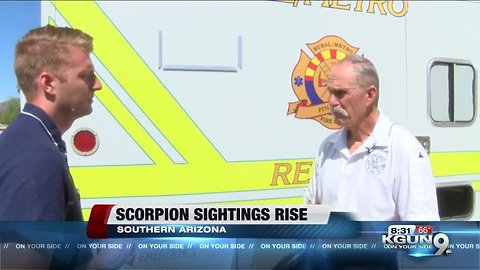 Scorpion sightings rise for pest control companies in Arizona