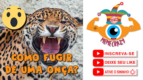 COMO FUGIR DE UMA ONÇA? - MEME CRAZY