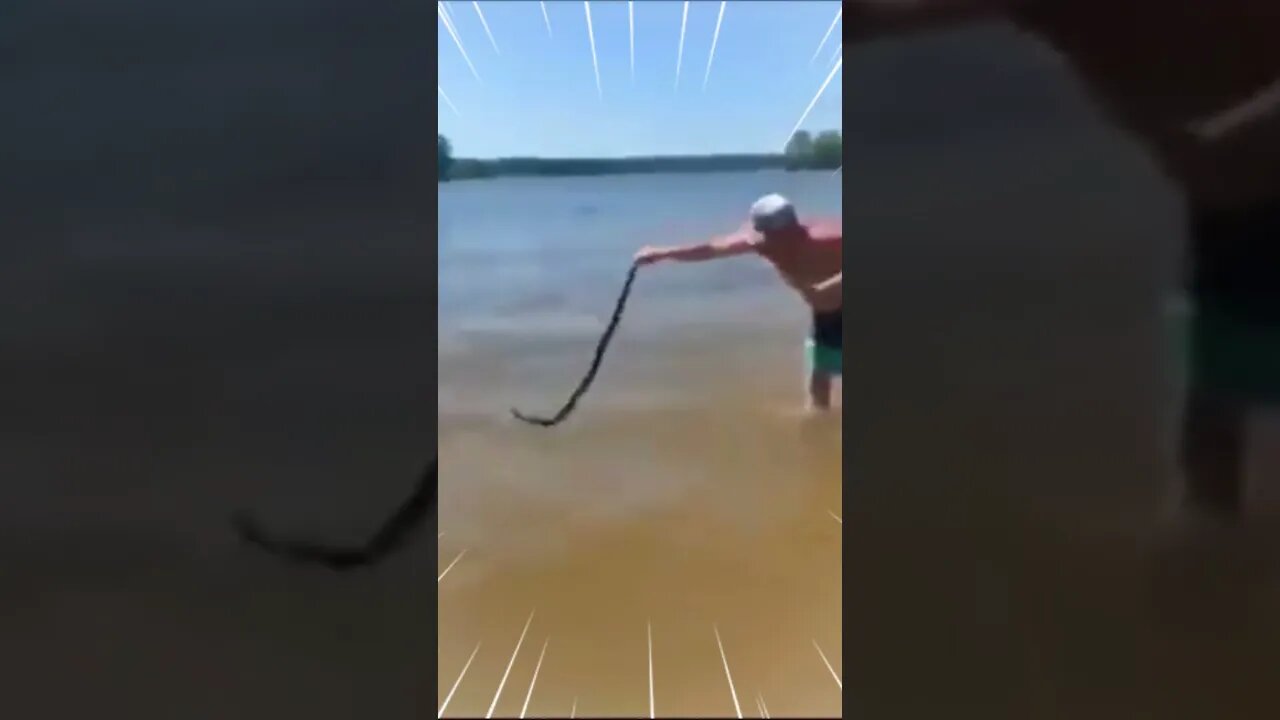 Watch out lol. #shortvideo #snake #nature #viral #shorts