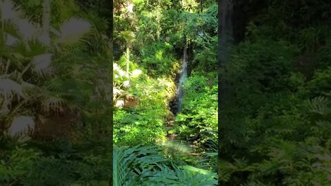 Natural Spring Waterfall!