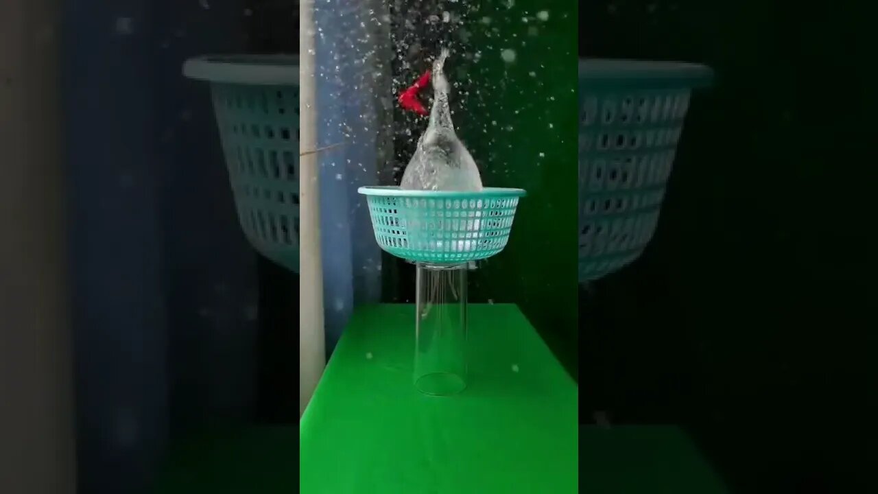 Since you liked the first slowmo