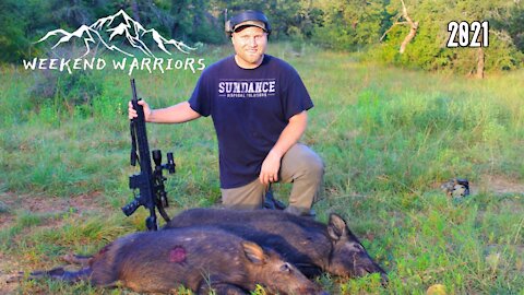 Revenge on the pigs - July 2021| FERAL HOG HUNT