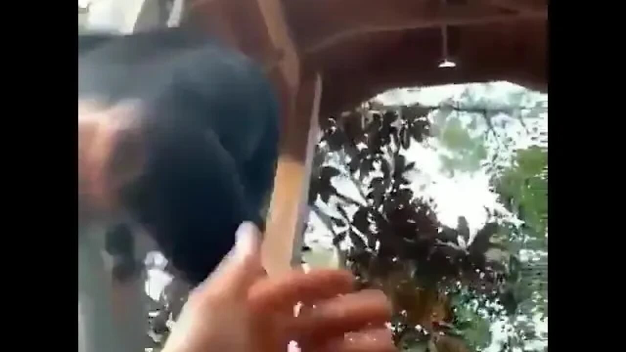 ۲ دسامبر ۲۰۲۲