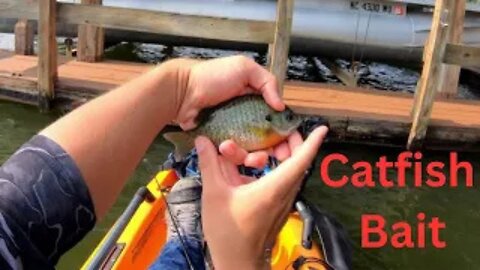 ULTRALIGHT FISHING FOR CATFISH BAIT...FISHING DOCKS.!!!!