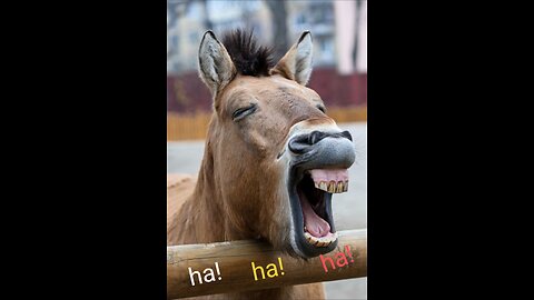 "Animals Doing Dumb Things: Too Funny to Handle!"😂😂😂