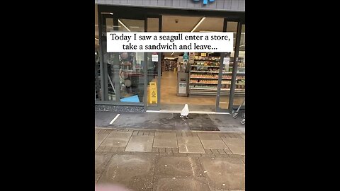 Snack Heist 🦅 😭