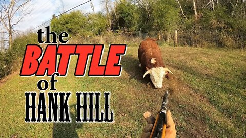 We try to corral Hank with a BB Gun... (SPOILER ALERT: He doesn't care). Also, Thanksgiving.