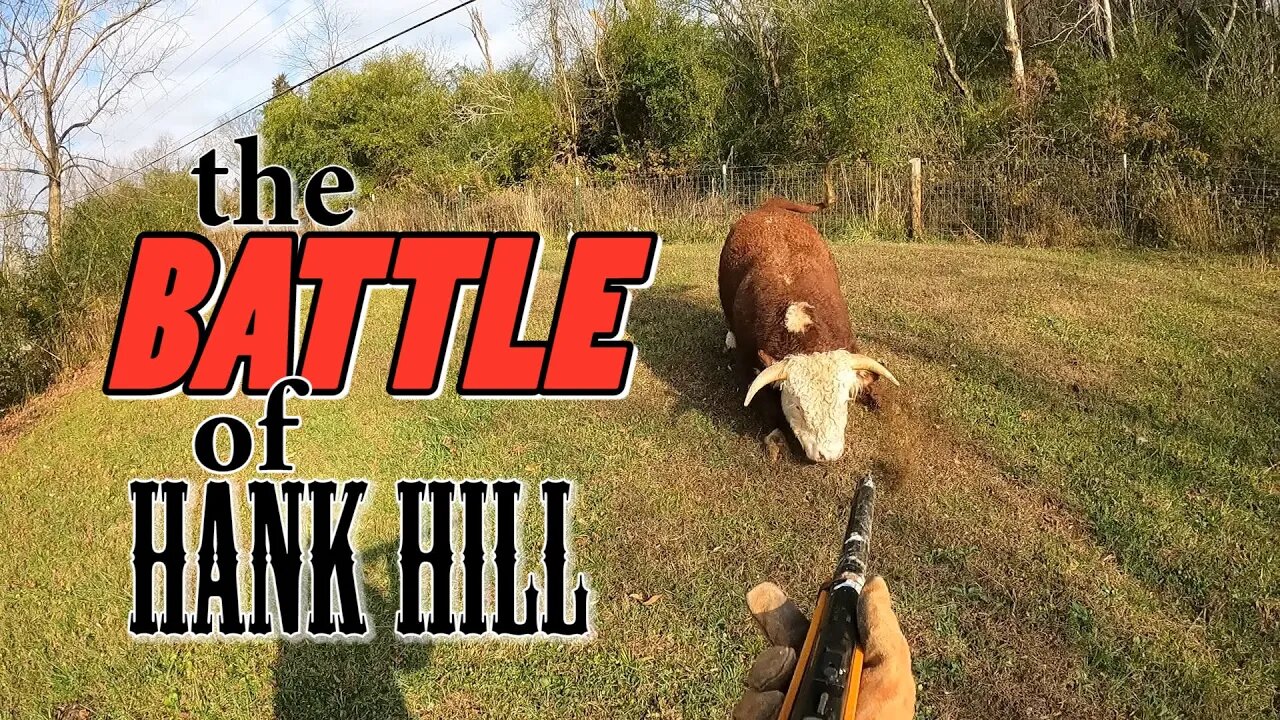 We try to corral Hank with a BB Gun... (SPOILER ALERT: He doesn't care). Also, Thanksgiving.