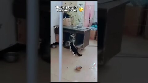 Did you know that Tom can do this?