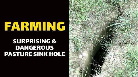 FARMING: Surprising (and Dangerous) Pasture Sink Hole