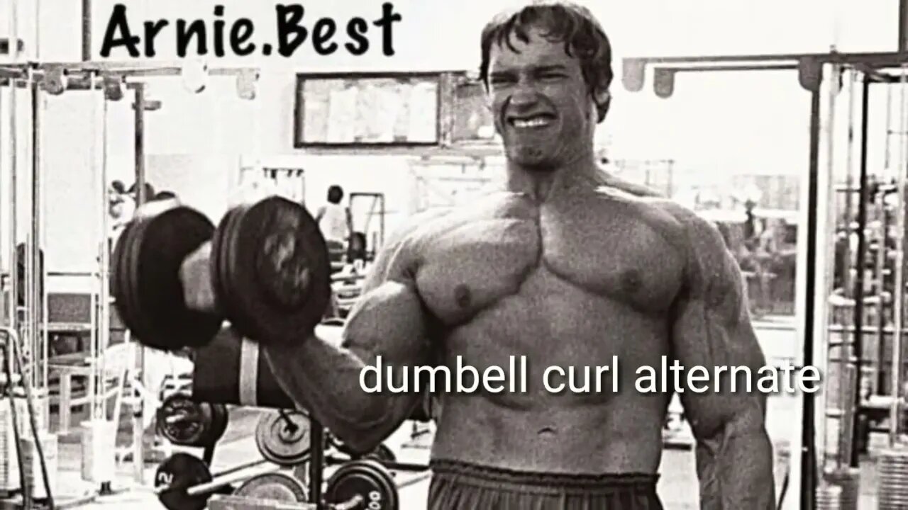 Arnold bicep workouts