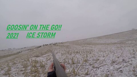 GOOSIN' ON THE GO!