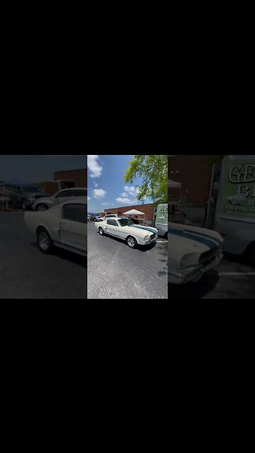 1965 Mustang GT350 & Grumman P10 Stepvan