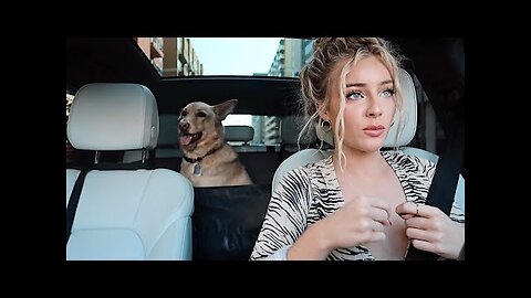 A week in my life Fashion Blogger