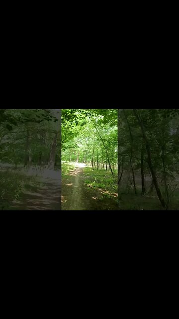 BANEASA Forest ride, Bucharest - Ilfov | 4k Virtual Tour | #shorts