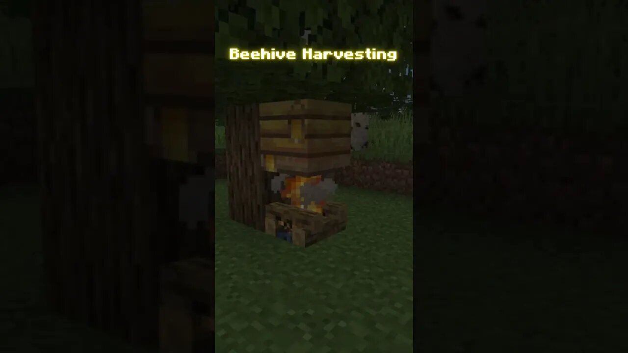 Minecraft Facts - “Chapter 14 - Beehive Hervesting”
