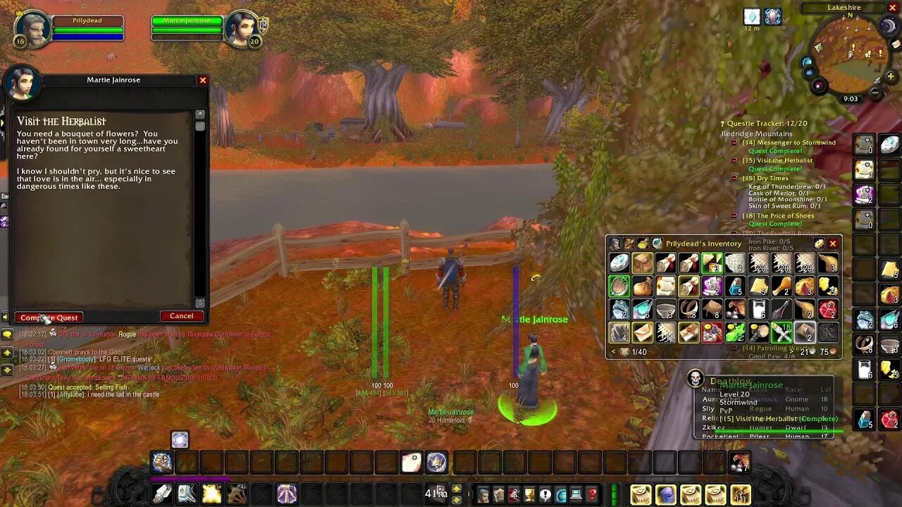 HardCore World Of Warcraft Paladin