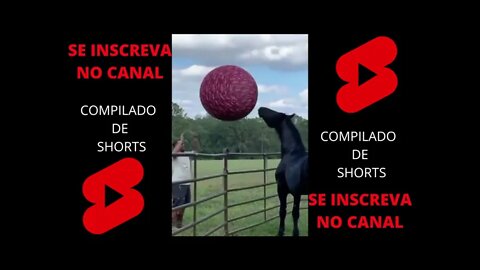 COMPILADO SHORTS (DIVERSOS 10)