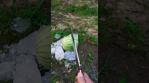 Found a watermelon