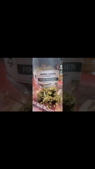 PINK PANTHER 🙌🏾 HORN CREEK