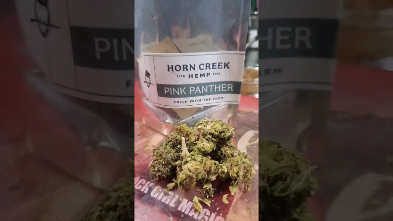 PINK PANTHER 🙌🏾 HORN CREEK