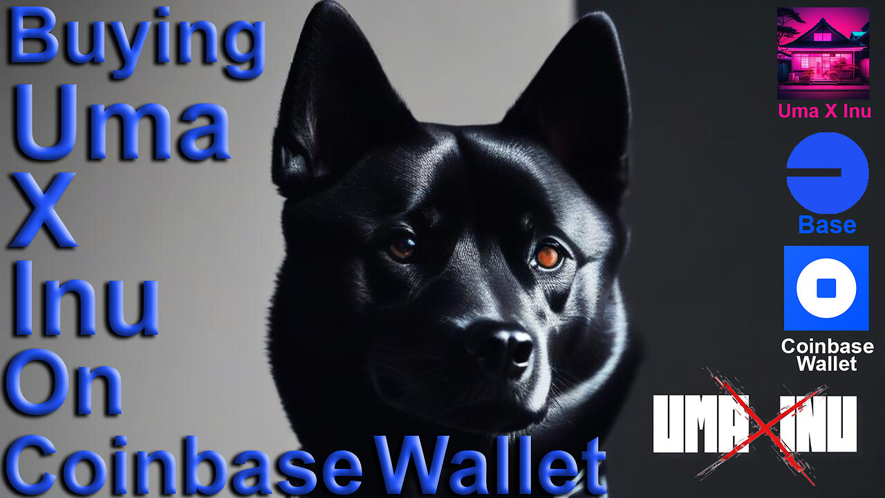 Black Shiba Inu Uma X Inu Coinbase Wallet How Purchase Wealth Transfer Tutorial Crypto Gem