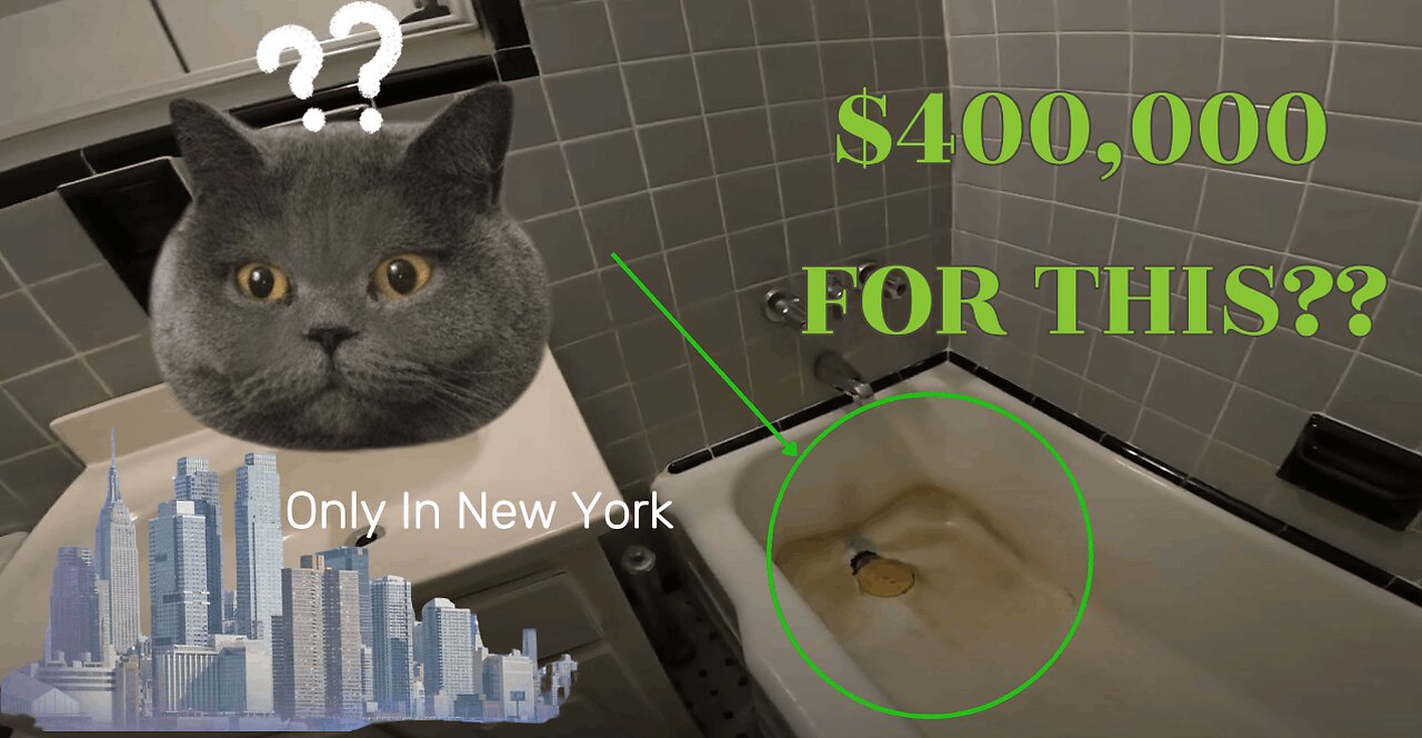 $400,000 FOR THIS?(Only in NY)