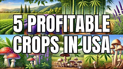 Top 5 High-Profit Crops to Grow in the USA for Maximum Earnings