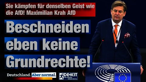 Sie kämpfen für denselben Geist wie die AfD! Maximilian Krah, AfD