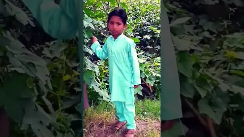 Song #viral #trending #earnmoneyonline