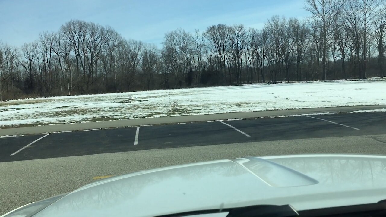 Driving through the country (Indiana)