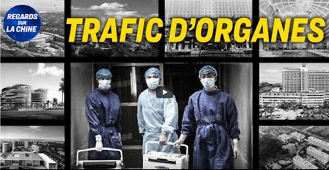 Témoignage un prisonnier tué en chine pour un foie ; La réaction du PM Australien face au PCC