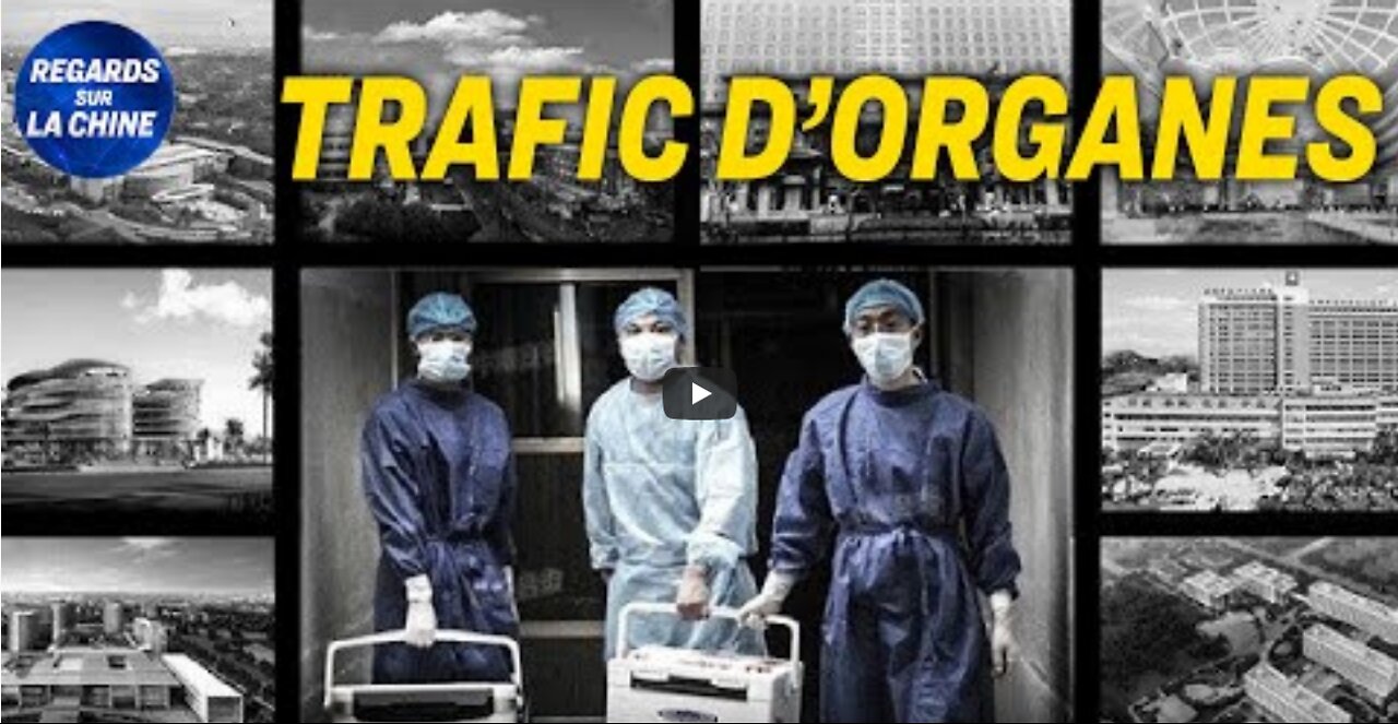 Témoignage un prisonnier tué en chine pour un foie ; La réaction du PM Australien face au PCC