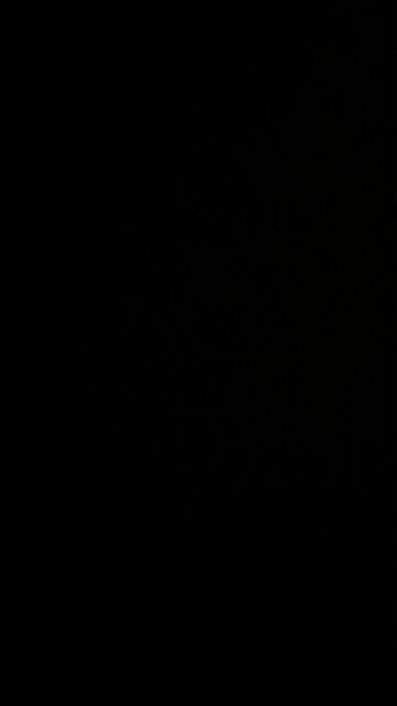 Take back America! 🇺🇸