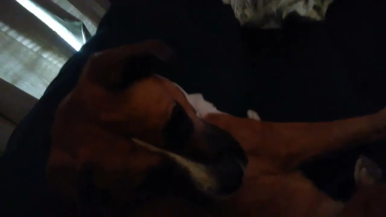 she's just such a good girl!!!!