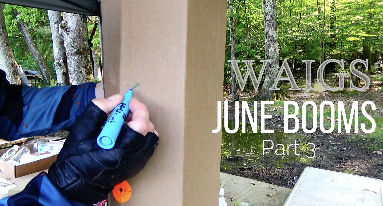 WAIGS June Boom 3