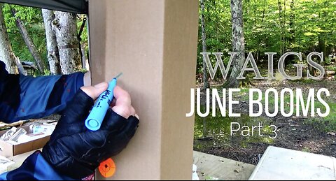 WAIGS June Boom 3