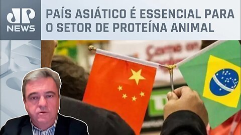 Entenda a importância da relação entre Brasil e China; presidente da ABPA Ricardo Santin comenta