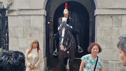 Family tell grandma not to touch the reins #horseguardsparade