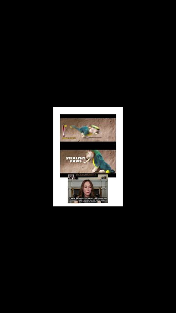 DESENHO OS CROODS #shorts