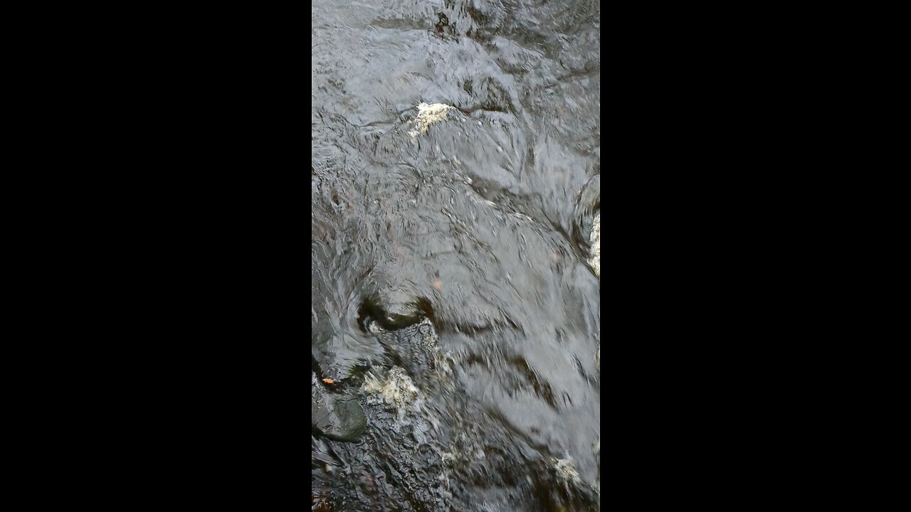 Sounds of the Stream. - by Josh