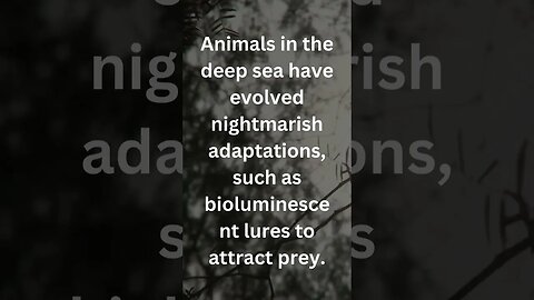 Nightmarish Adaptations #adapt #deepsea #scary #spooky #fyp