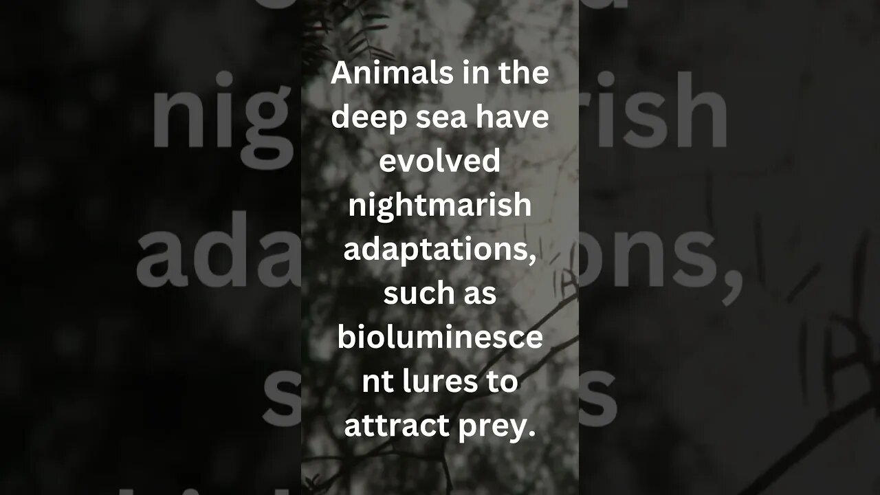 Nightmarish Adaptations #adapt #deepsea #scary #spooky #fyp